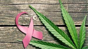 marijuana et cancer