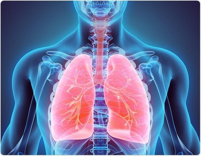 Lire la suite à propos de l’article Broncho-pneumopathie traitement naturel : Le Secret de Guérison !