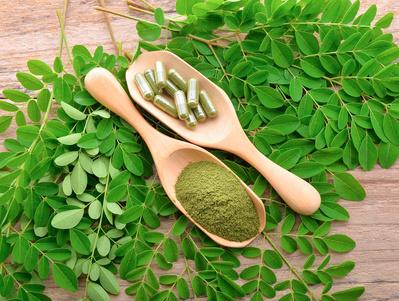 You are currently viewing Bienfaits du Moringa : Mille Vertus !