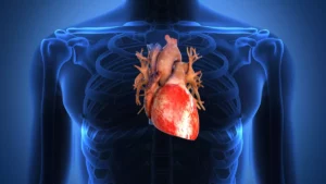 Lire la suite à propos de l’article L’insuffisance cardiaque quels sont les traitements